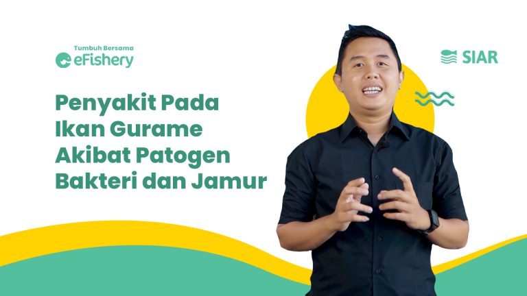 Kenali Penyakit pada Ikan Gurame Akibat Patogen Parasit blog1 (1)