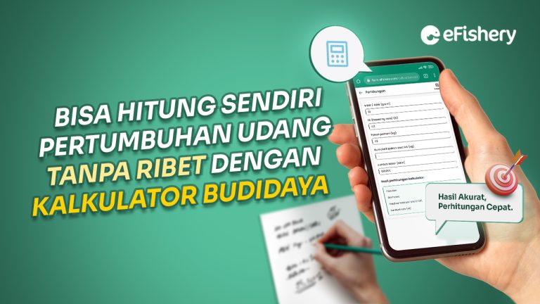 Hitung Pertumbuhan Udang Dengan Fitur Baru eFarm, Kalkulator Budidaya!