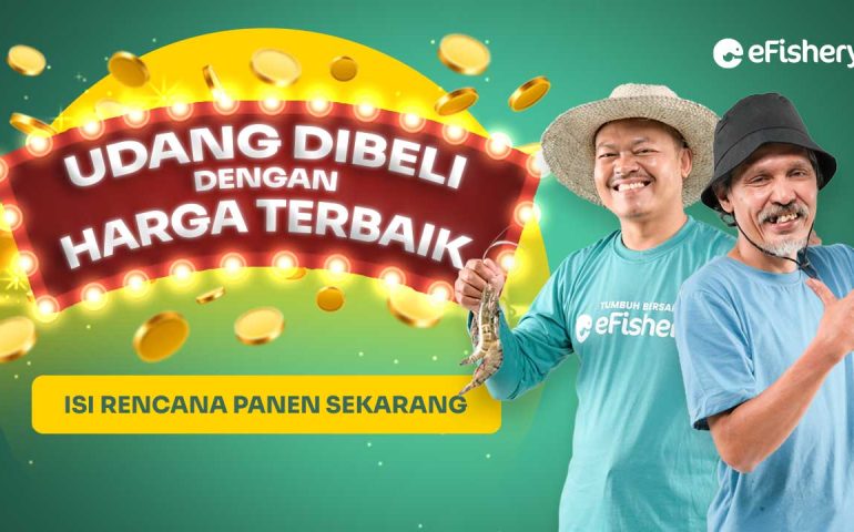 Isi “Rencana Panen”, Jual Hasil Panen Udang Jadi Lebih Mudah & Dibeli dengan Harga Menguntungkan!