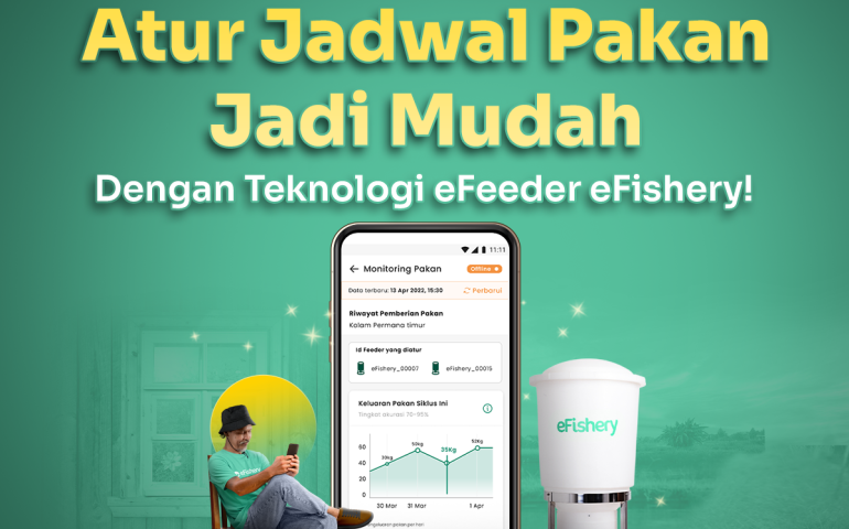 atur jadwal pakan dengan efeeder