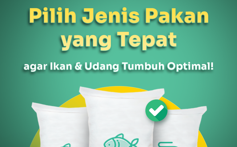 jenis pakan ikan udang yang tepat