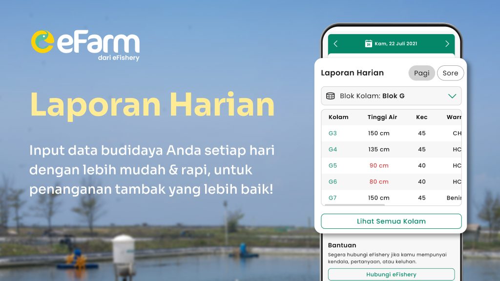 laporan harian budidaya