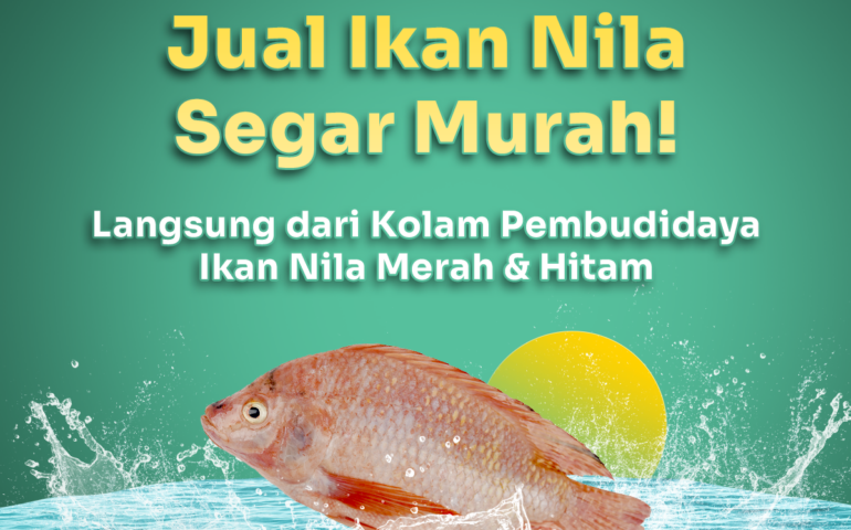 jual ikan nila