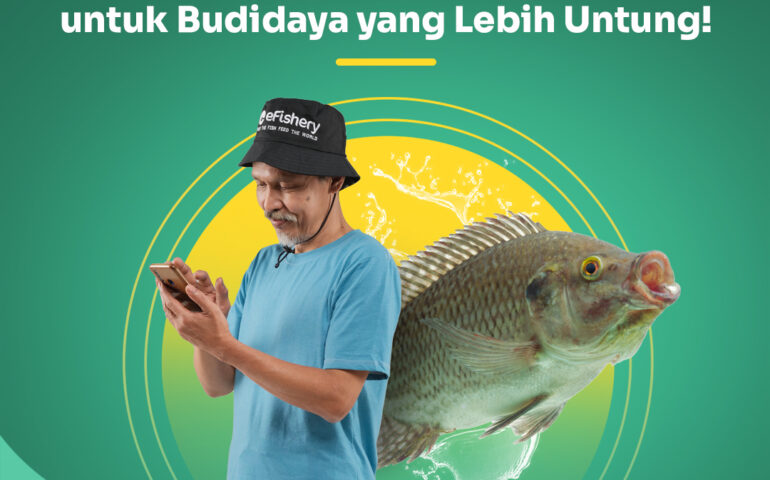 fcr ikan nila