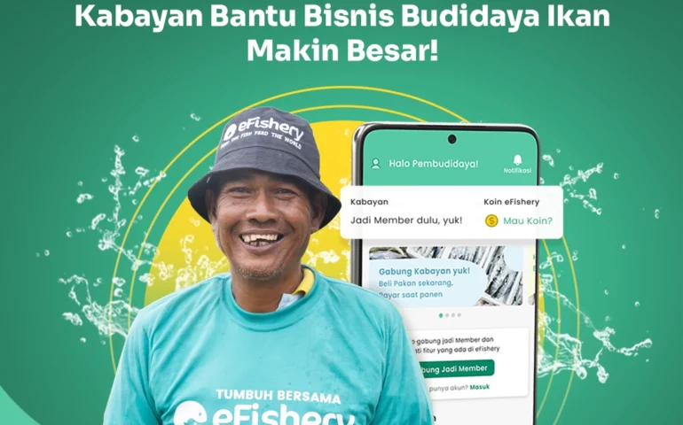 kabayan bisnis ikan nila makin besar