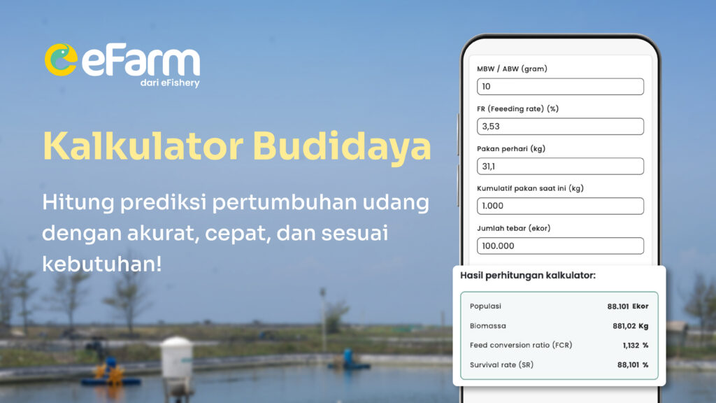 kalkulator budidaya udang