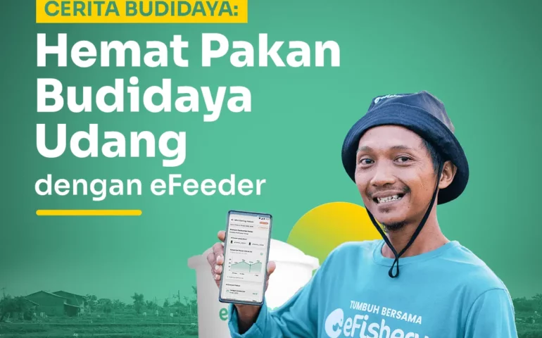 hemat pakan udang dengan efeeder