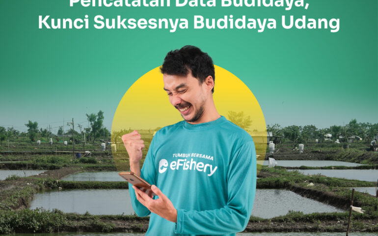 pencatatan data budidaya udang