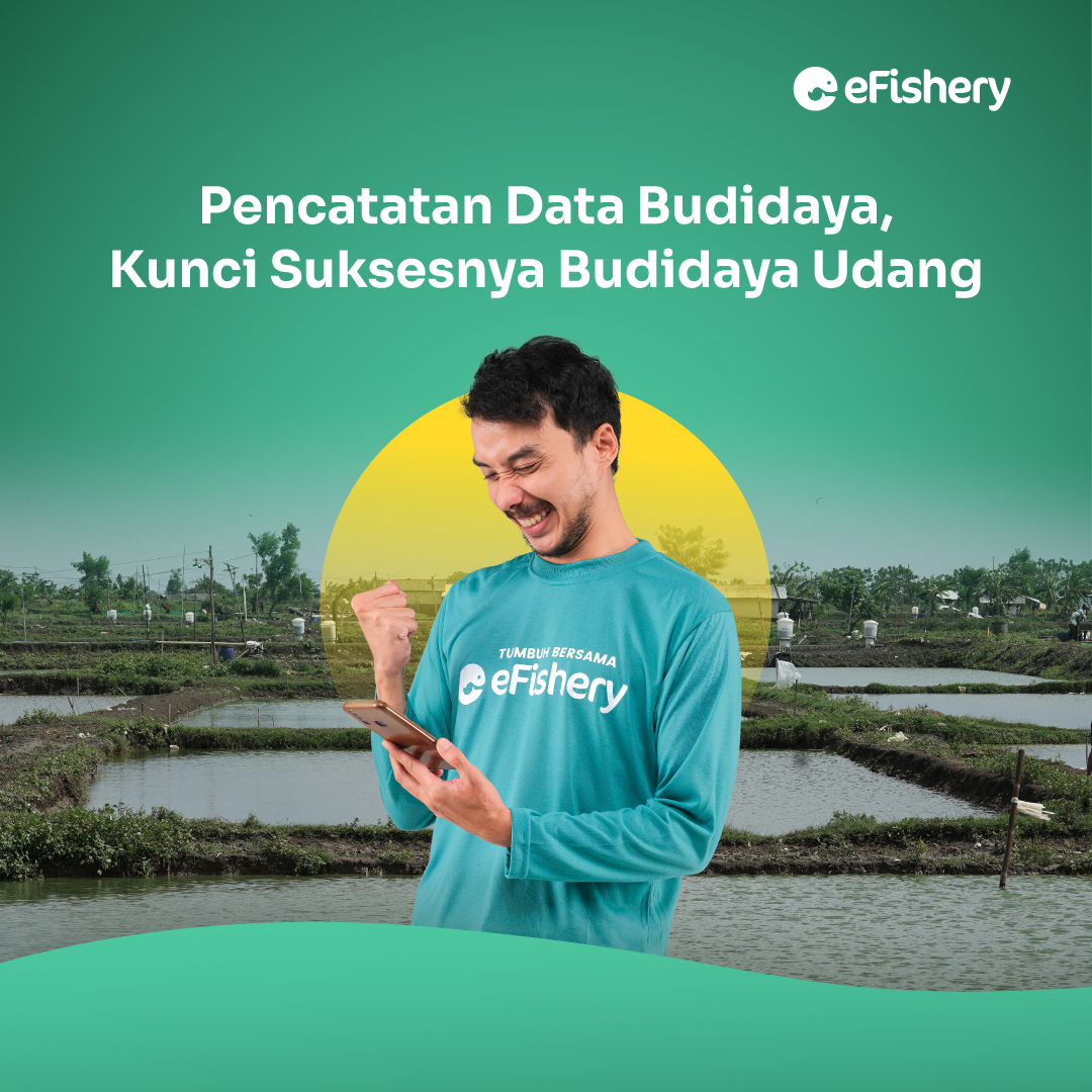 pencatatan data budidaya udang