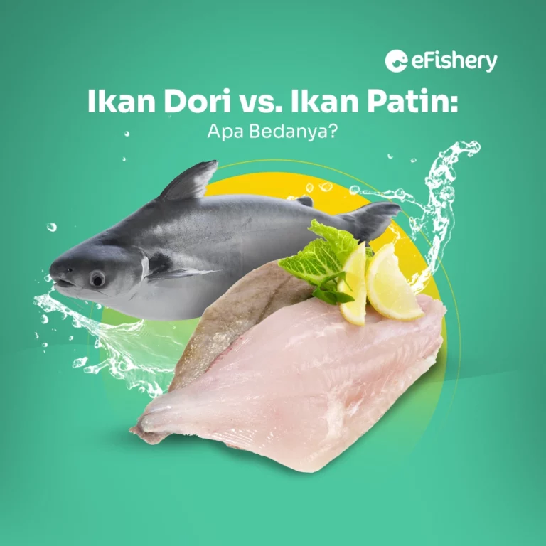 ikan dori vs ikan patin