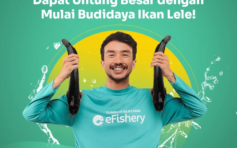 budidaya ikan lele