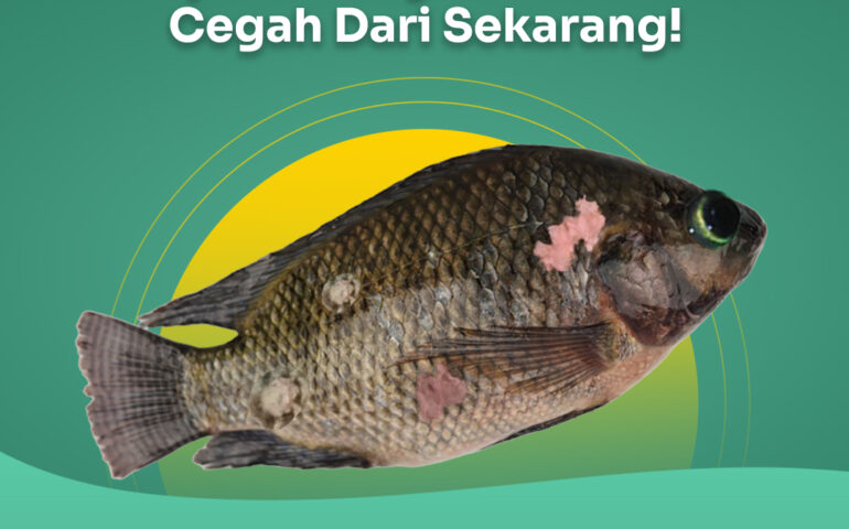 penyakit ikan nila