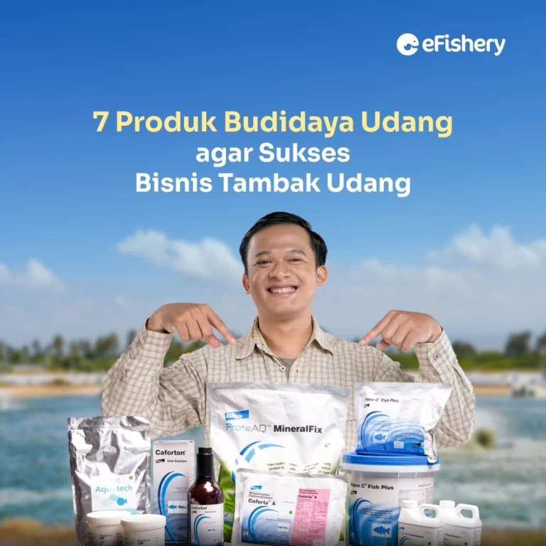 produk bisnis tambak udang