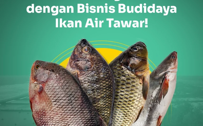 budidaya ikan air tawar