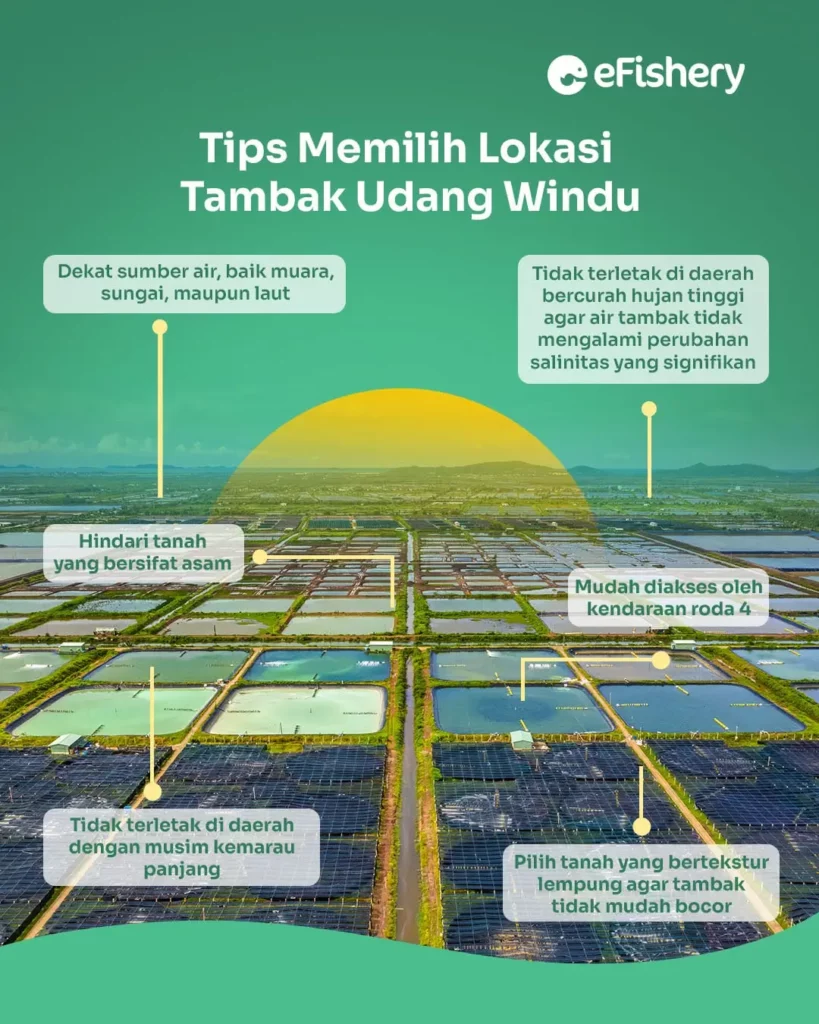 lokasi budidaya udang windu