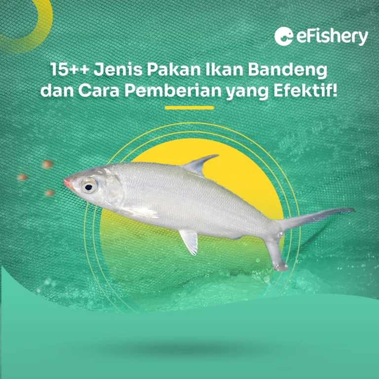 pakan ikan bandeng