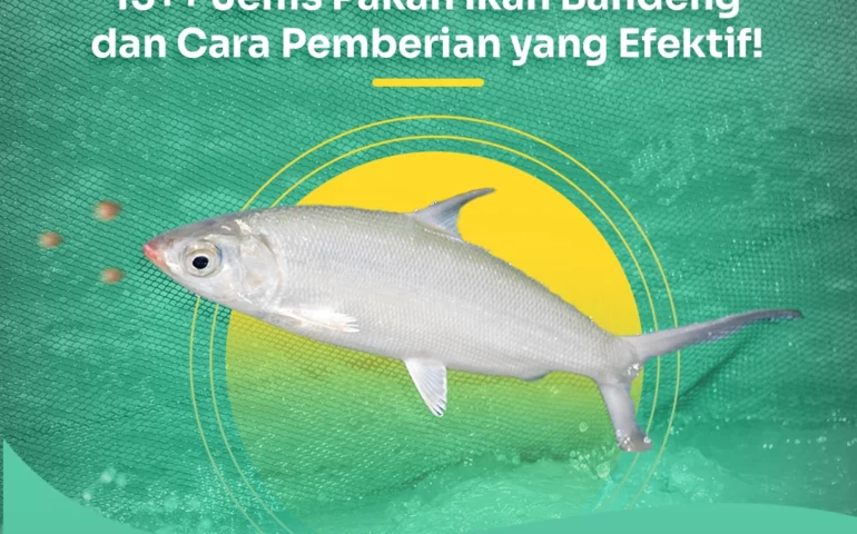 pakan ikan bandeng