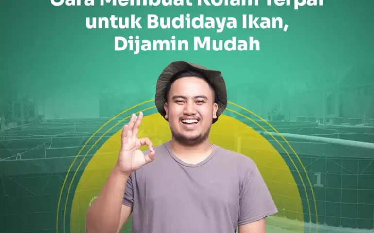 cara membuat kolam terpal