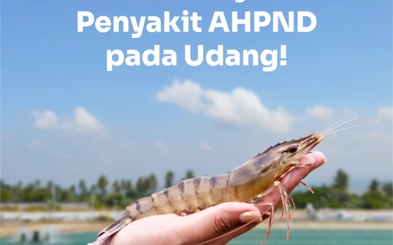 cara mengatasi ahpnd