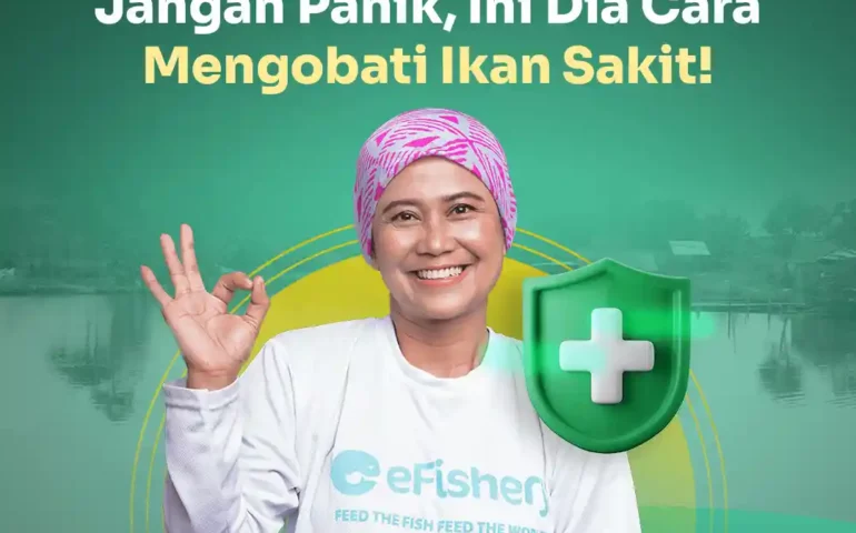 cara mengobati ikan sakit