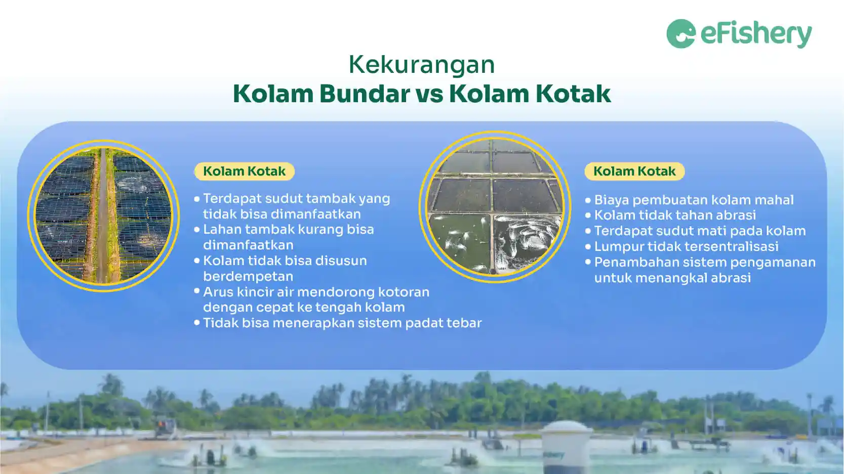 kekurangan kolam bundar vs kolam kotak