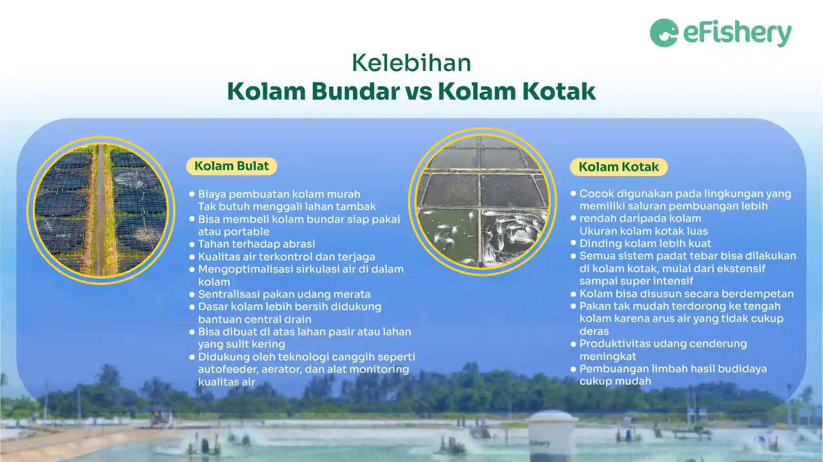 kelebihan kolam bundar vs kolam kotak