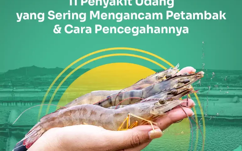 penyakit udang