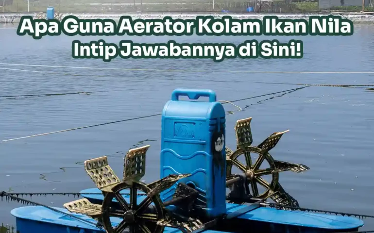 aerator kolam ikan nila