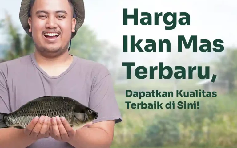 harga ikan mas