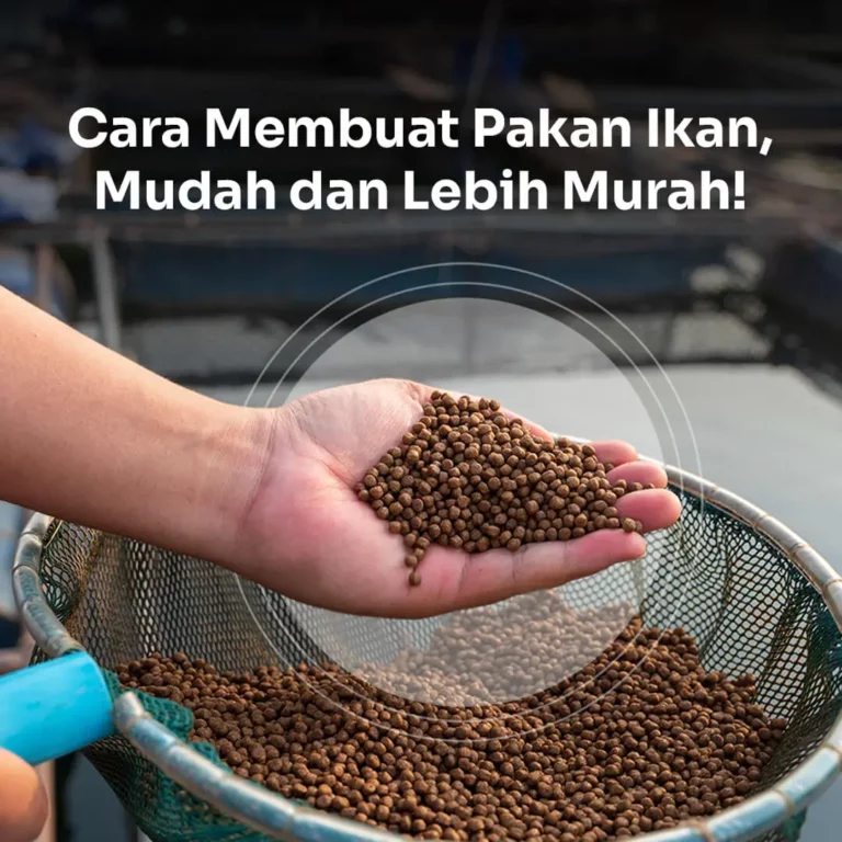 cara membuat pakan ikan