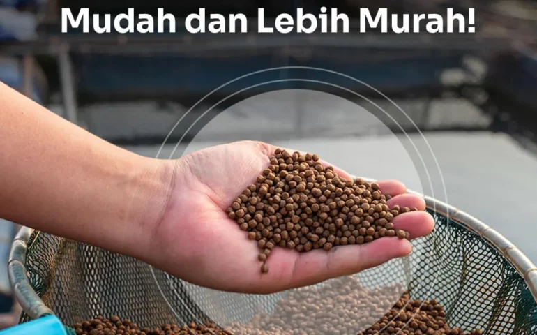 cara membuat pakan ikan