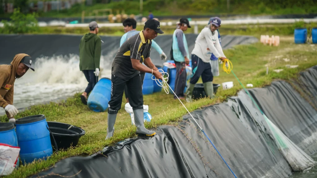 pekerjaan teknisi tambak udang