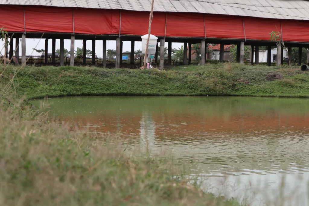 ph air kolam ikan