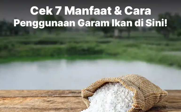 manfaat garam ikan