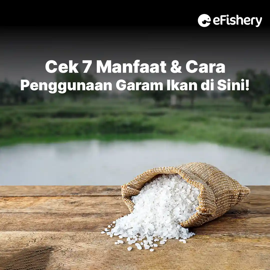 manfaat garam ikan