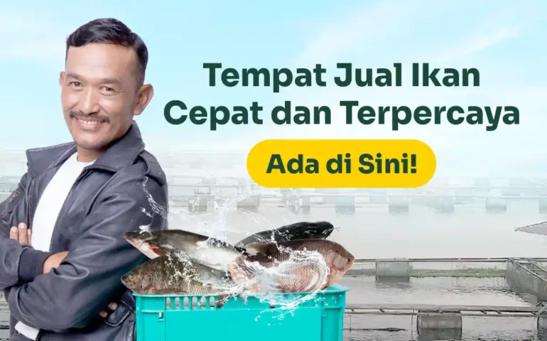 tempat jual ikan