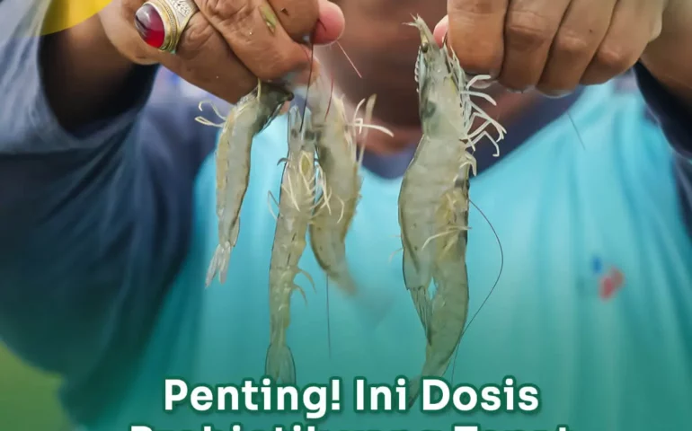 dosis probiotik untuk udang vaname