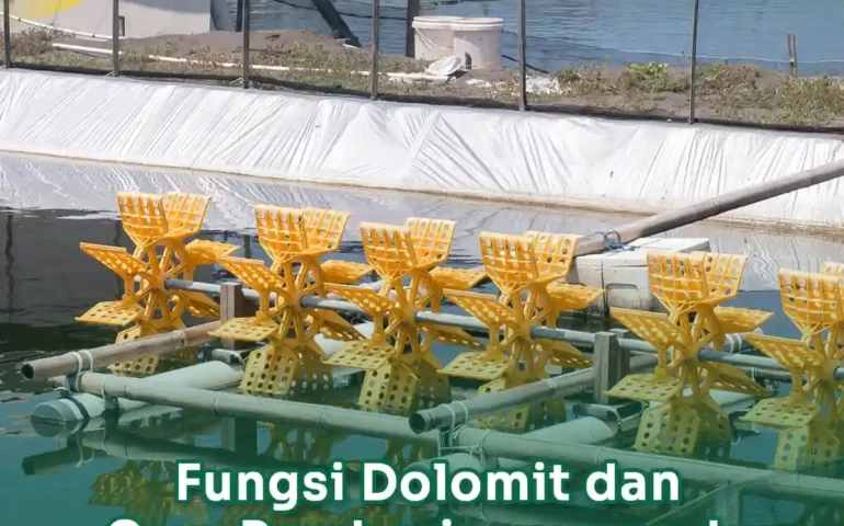 fungsi dolomit pada tambak udang