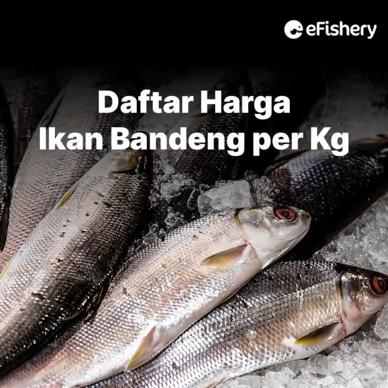 harga ikan bandeng