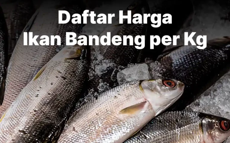 harga ikan bandeng