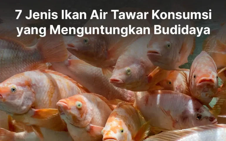 jenis ikan air tawar konsumsi