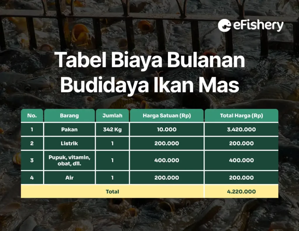 tabel biaya bulanan budidaya ikan mas