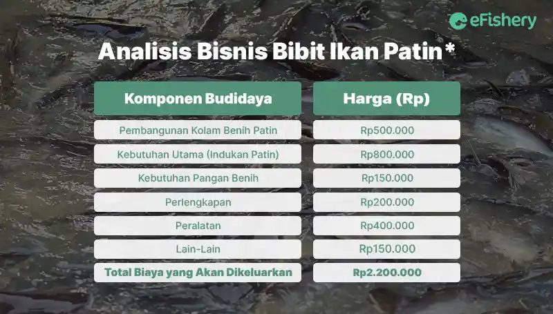 analisis bisnis bibit ikan patin