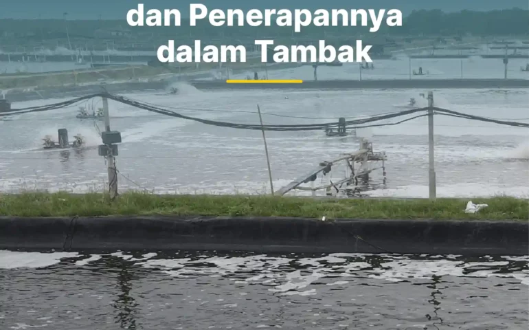 biosecurity udang dan penerapannya dalam tambak