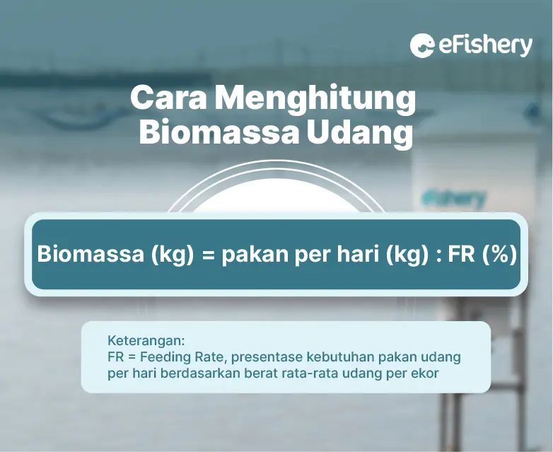 cara menghitung biomassa udang