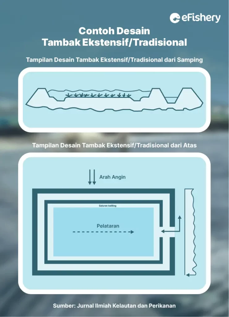 contoh desain tambak udang ekstensif atau tradisional