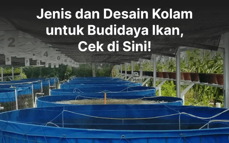 desain kolam budidaya ikan