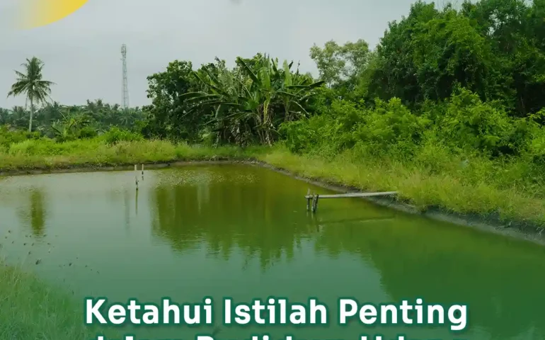 istilah dalam budidaya udang