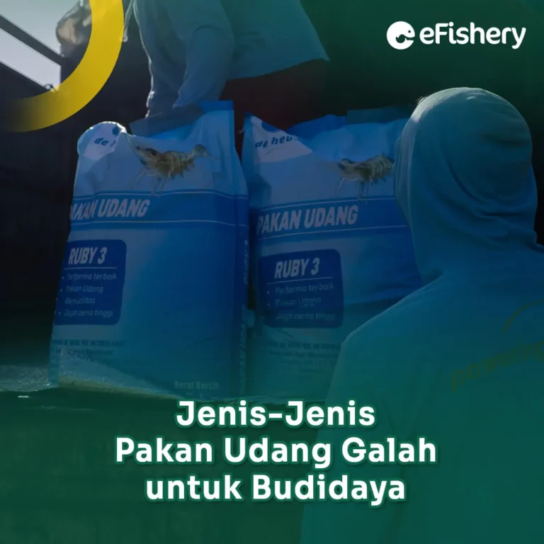 jenis-jenis pakan udang galah untuk budidaya