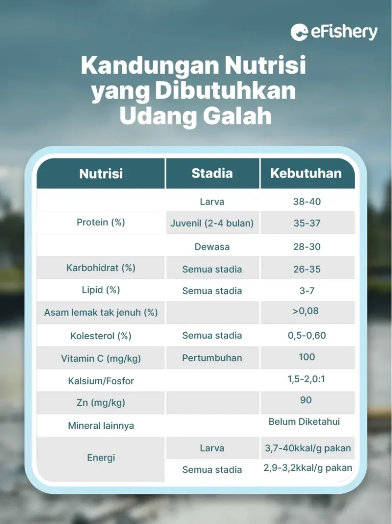 kandungan nutrisi yang dibutuhkan udang galah